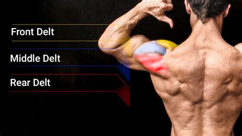 best shoulder exercises athlean x|athlean x perfect shoulder workout.